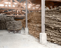 Colorization
